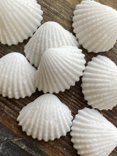 Load image into Gallery viewer, Sugar Seashell Sugar Cubes for Coffee Tea Cocktails and More